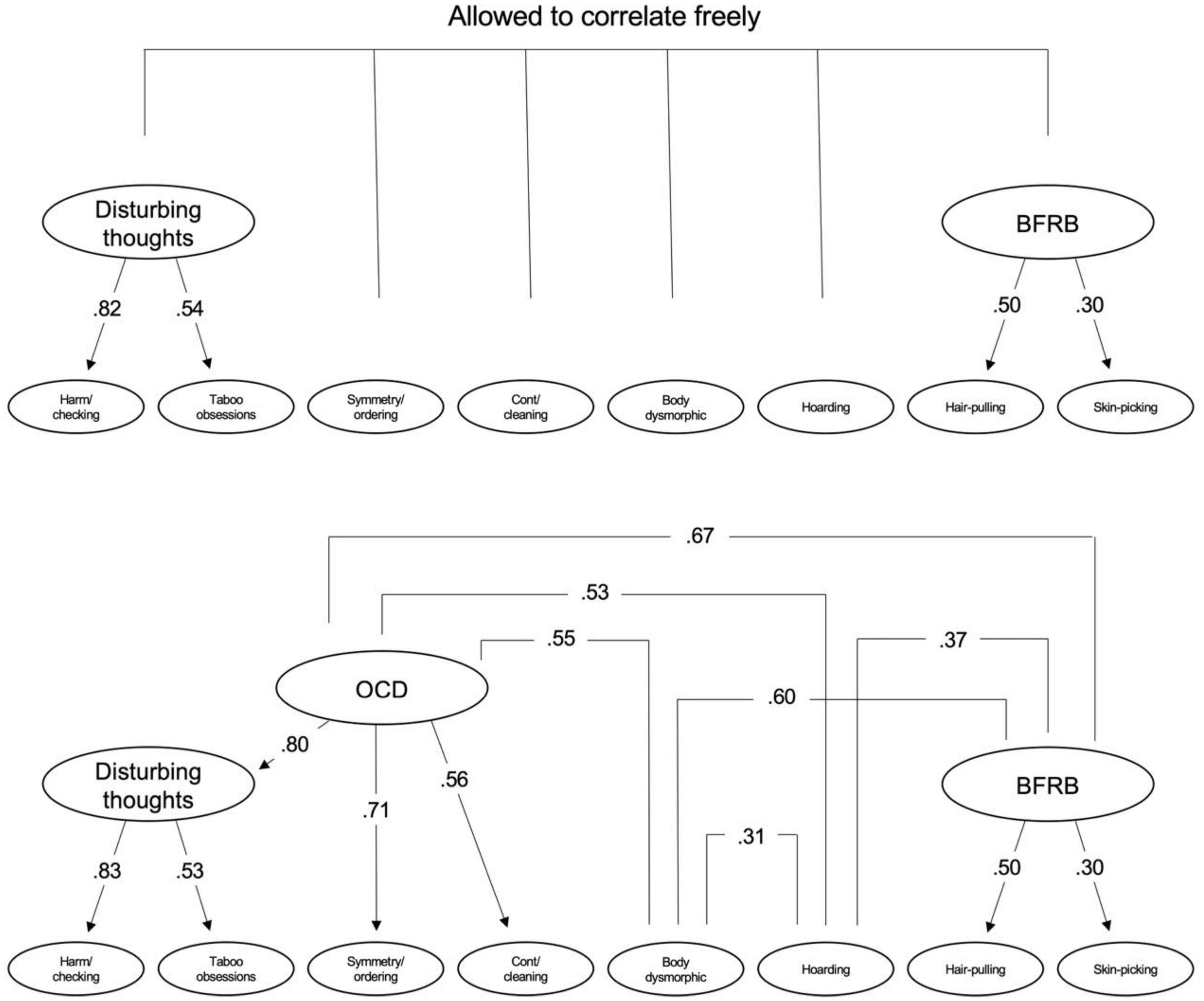 Measuring symptoms of obsessive-compulsive and related disorders using a single dimensional self-report scale